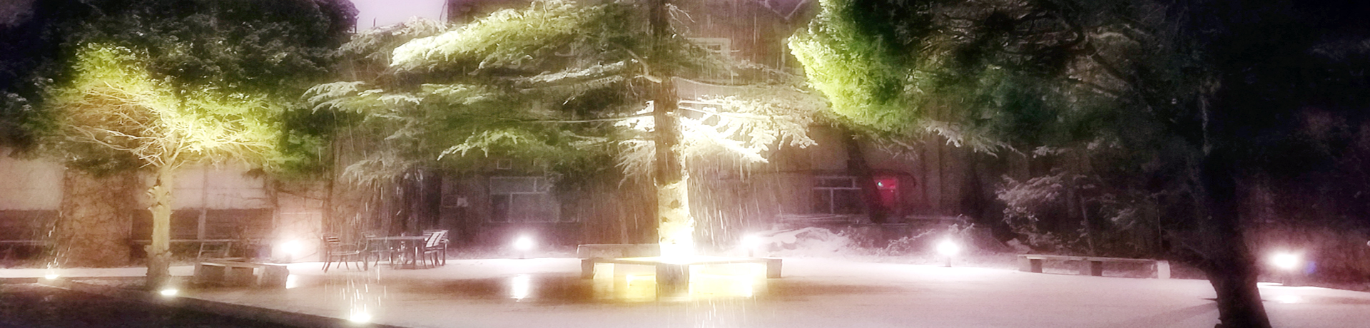 英国上市公司365